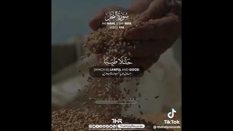 تلاوات خاشعة || عبدالرحمن مسعد || سورة النحل 🤍💜 #عبدالرحمن_مسعد#تلاوة_خاشعة #تلاوة