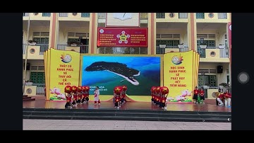 Một Vòng Việt Nam-   lớp 1A2 trường Tiểu học Kim Đồng TP. Lào Cai