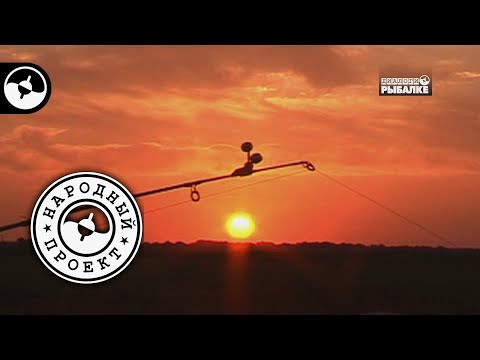 Сазан на донку. Ахтуба | Народный проект