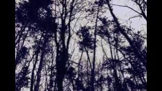 Download lagu Theatre Of Tragedy - Distance There Is...(Balkansky Remix)