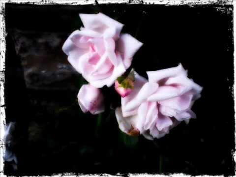 Ennio Morricone Clan Of The Sicilians Bigga Bush S Amok Sicilian Remix 