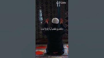 لا اله الا انت سبحانك 😔 #quran #القران_الكريم #تلاوات #تلاوة_خاشعة #القرآن_الكريم