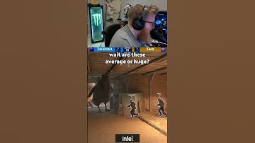 Chickens are taking over CS2