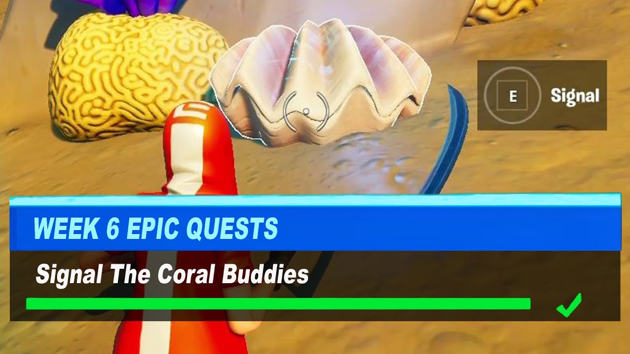 signal coral buddies signal coral buddies