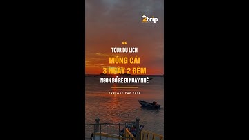 TOUR DU LỊCH MÓNG CÁI 3 NGÀY 2 ĐÊM NGON BỔ RẺ .