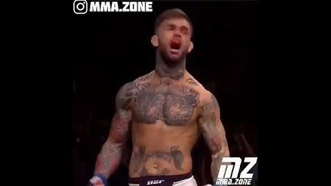 как вам этот боец!!!!!