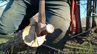 SPLITTING ELM FOR SELF BOWS! by Primitive Preacher 101 views 3 weeks ago 1 minute, 1 second