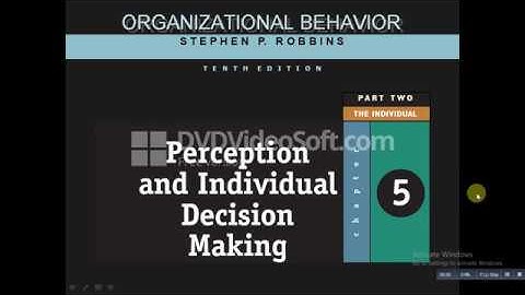 Perception and individual Decision Making