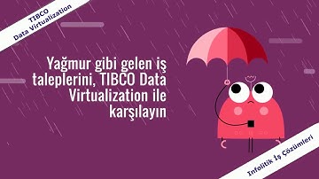 Infolitik TIBCO Data Virtualization in 2 minutes