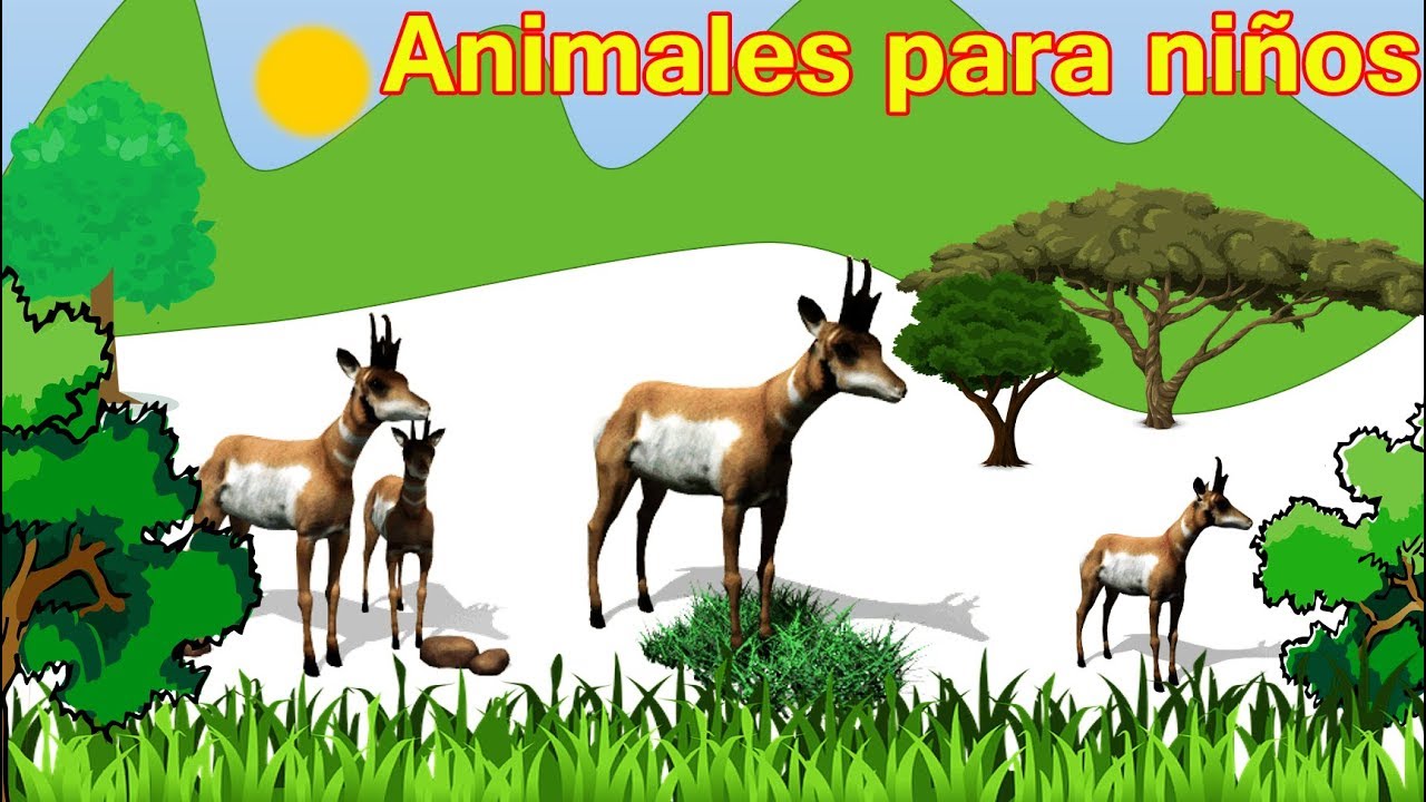 El Sonido de los Animales - Canción Infantil - animación para niños ...