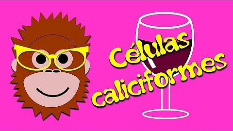 O que é produzido pelas células caliciformes?