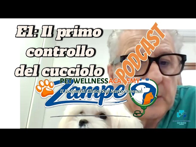 🐶 Il Primo Controllo del Cucciolo: quando farlo e gli errori da evitare | Zampe Ep.1
