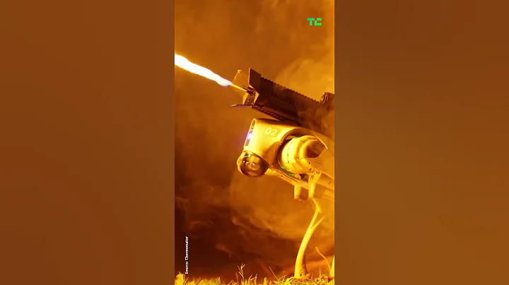 Thermonator's Flamethrower Robot Dog | TechCrunch