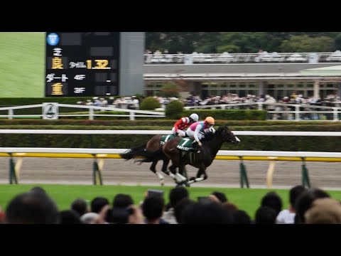ドルチェモア優勝！ 2022サウジアラビアRC 最後の直線【現地映像】