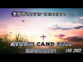 TURCITU CRISTI - ATUNCI CAND ESTI ZDROBIT! [ Live 2022 ]