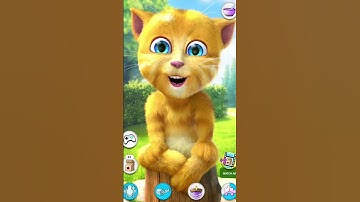 Có công mài sắt có ngày nên kim mèo nói