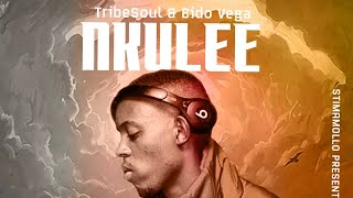 Nkulee  Tribesoul U0026 Bido Vega visualizer