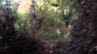 Session Enduro 50