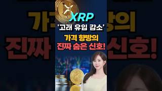 “XRP 고래들이 움직임을 멈췄다?” 가격 향방의 숨은 신호 #리플 #xrp #비트코인