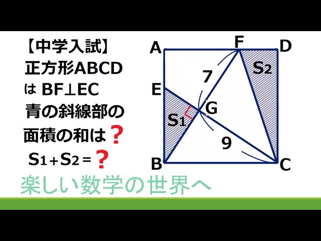 精解 中学数学 幾何編 上下セット 2025年最新】精解中学数学の