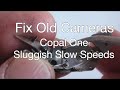 Fix Old Cameras: Copal One Sluggish Slow Speeds