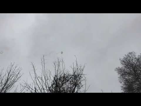 Rocket comparison.  P rocket Vs homemade bottle rocket.