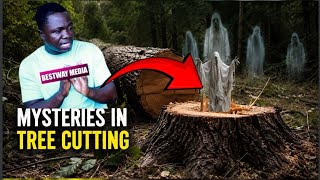 SCÄRY:😳😱I heard a báby crying after cutting tree at forest deep at night - MYSTERIES IN TREE CUTTING