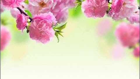 #مصحف القارئ ماهر شخاشيرو سورة  - الفلق