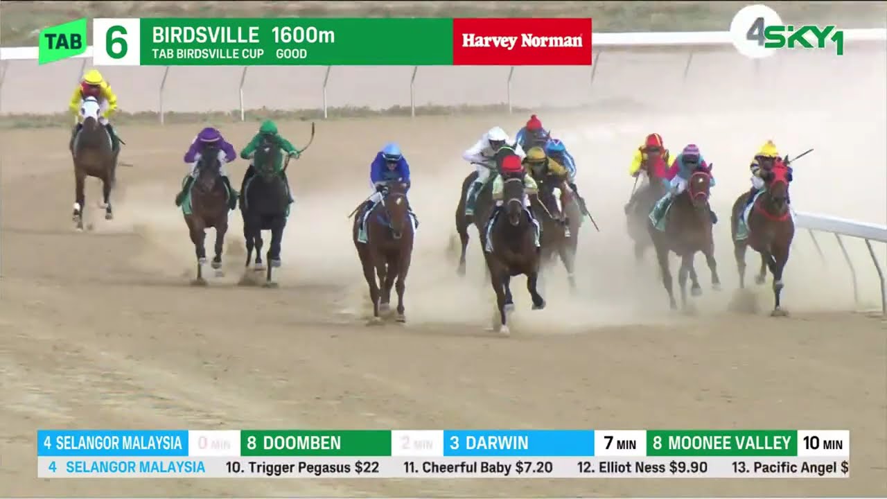 Birdsville Cup 2025 - TESTATOR SILENS (OPEN HCP) Birdsville 6 September