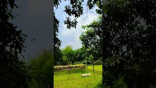 view #py #shuttlesmash #cornerkick #subscribe