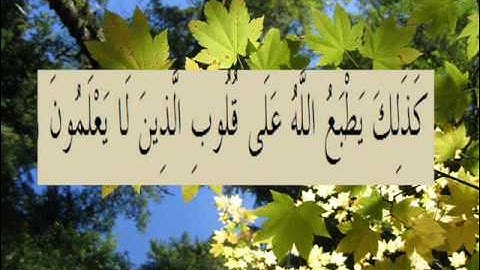 القران الكريم سورة الروم الأية 59.wmv