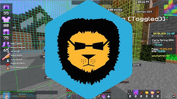 POV: You use Badlion Client to play Hypixel Skyblock