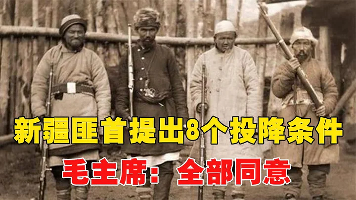 1952年，新疆匪首提出8个投降条件，王震拒绝，毛主席：全部同意 - 天天要闻