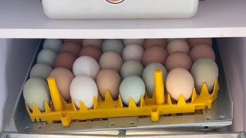 Firing Up The GQF Sportsman 1502