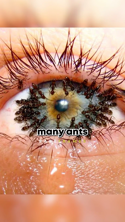 Stunning Rare Photos You NEED To See 👀