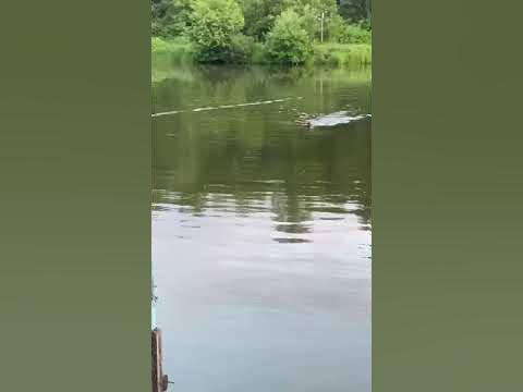 Кетрой - YouTube