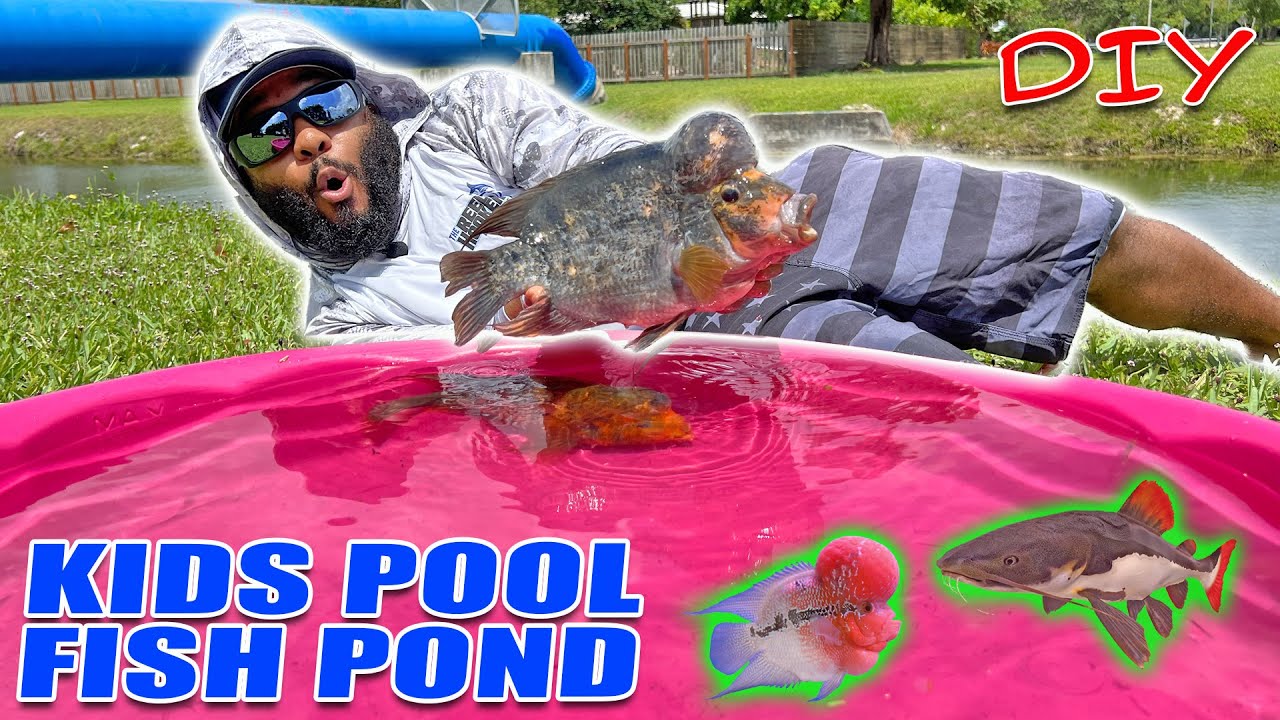 Best DIY Kid's Pool Fish Pond 