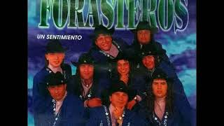 Video thumbnail of "Tu compañero // Los Forasteros"