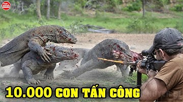 Thợ Săn Đã Làm Gì Để Hạ Gục Hàng Nghìn Con Rồng Komodo Cả Gan Tấn Công Trang Trại? | Top 10 Huyền Bí