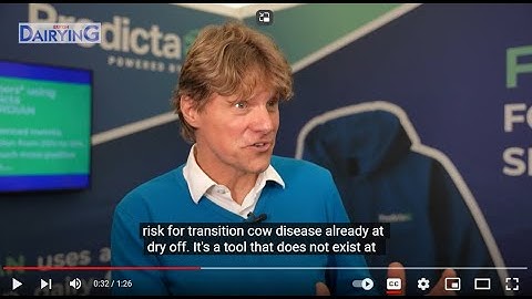 Why should dairy farmers use artificial intelligence on farm?