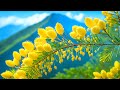 Soothing Music For The Nerves рџЊї Healing Music For The Heart Blood Vessels And Relaxation Soothing Music For The Nerves рџЊї Healing Music For The Heart Blood Vessels And Relaxation