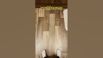 cat is slipping #anime #cat #rave #catlover #techno