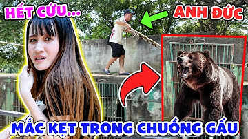 Thanh Niên Đi Lạc Vào Chuồng Gấu Và Cái Kết - Vê Vê Channel