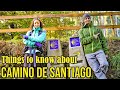 Camino de santiago things to know before the walk
