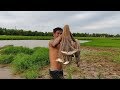 Cambodia Traditional Net-Fishing | khmer real life fishing at Kompong Cham Province