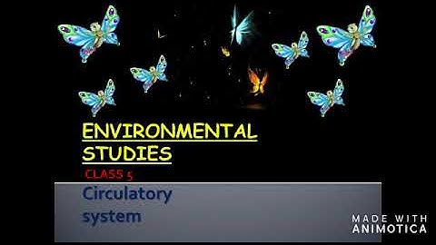 Circulatory system class 5