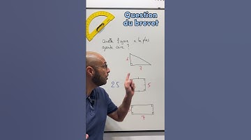 BREVET - DES AIRES ADORABLES 🥰