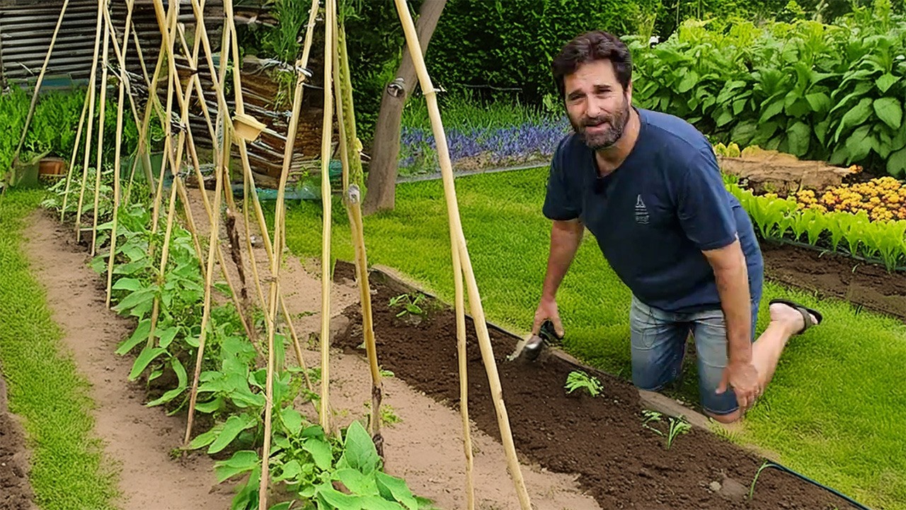 🍅 Cómo Iniciar un Huerto Casero y Cosechar tus Propios Alimentos #HUERTODECERO