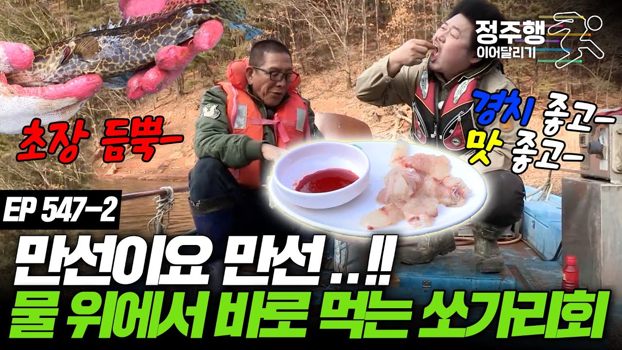 잡자마자 바로 손질!! 투박하게 썰린 쏘가리 회 한접시..♡ #정주행_이어달리기 #나는자연인이다 547-2