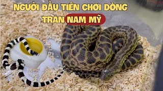 Ghé thăm a Luân người đầu tiên chơi dòng trăn Nam Mỹ/ Visiting reptile collection of brother Luan